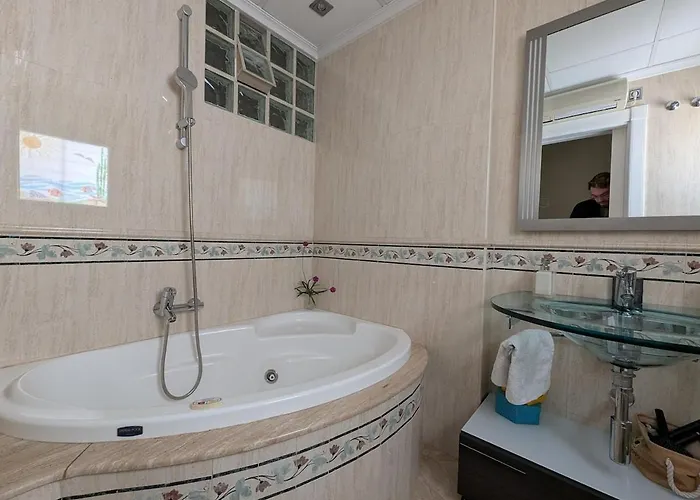 Apartamento Atico Oasis Elche