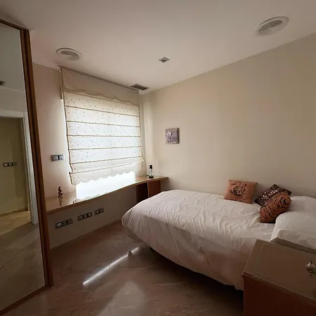 Atico Oasis Elche
