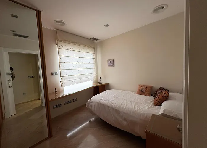 Atico Oasis Elche